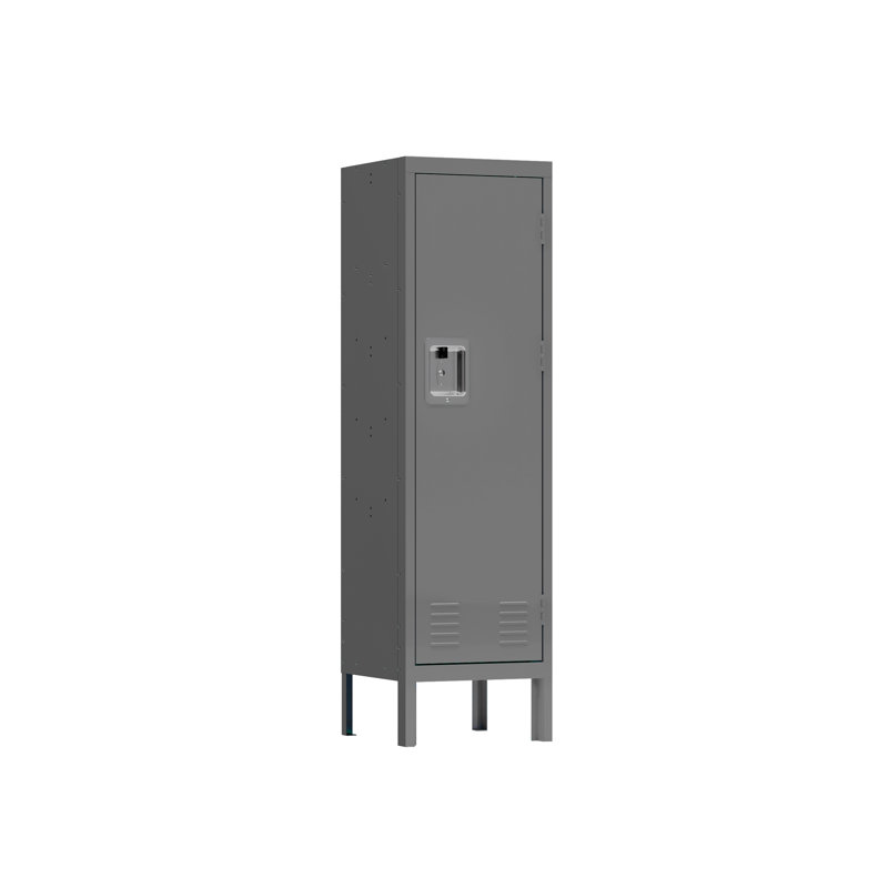 Armoire de rangement polyvalente: organisez et désencombrez avec style, gris