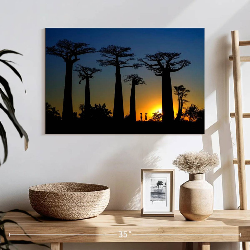 Baobab sombre, H 16 po x l 24 po