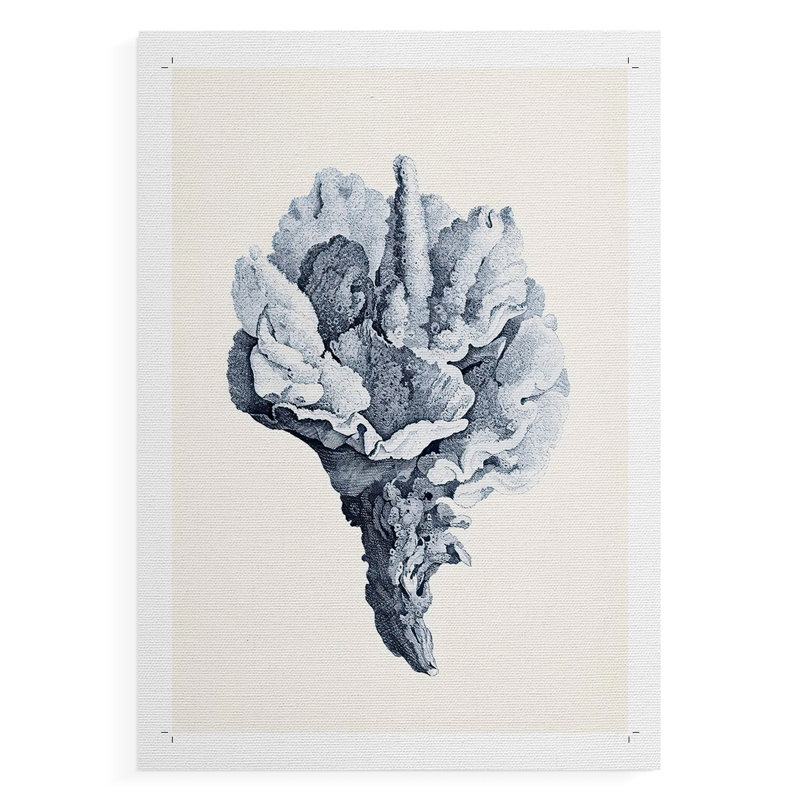 Bleu antique corail III - impression sur toile seulement - NON encadrée, H 18 po x l 12 po