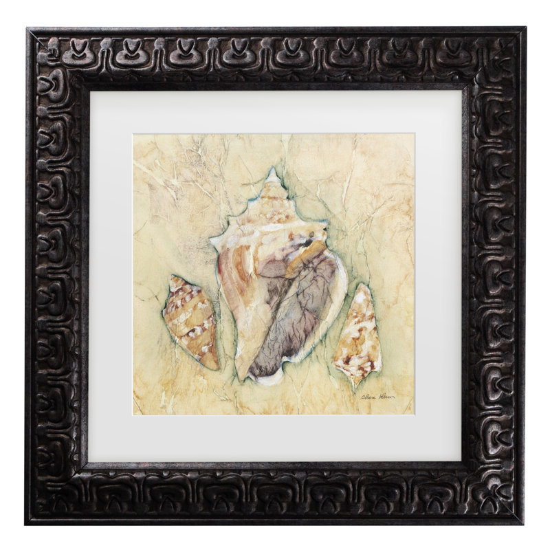 «Cheri Blum Shells III», art encadré mat, H 19,5 po x l 19,5 po