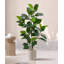 Décoration d'hévéa verte
