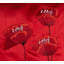 Dav Poppies Cushion Cover with Filler Pad-1428655030-1428655031-1428609023
