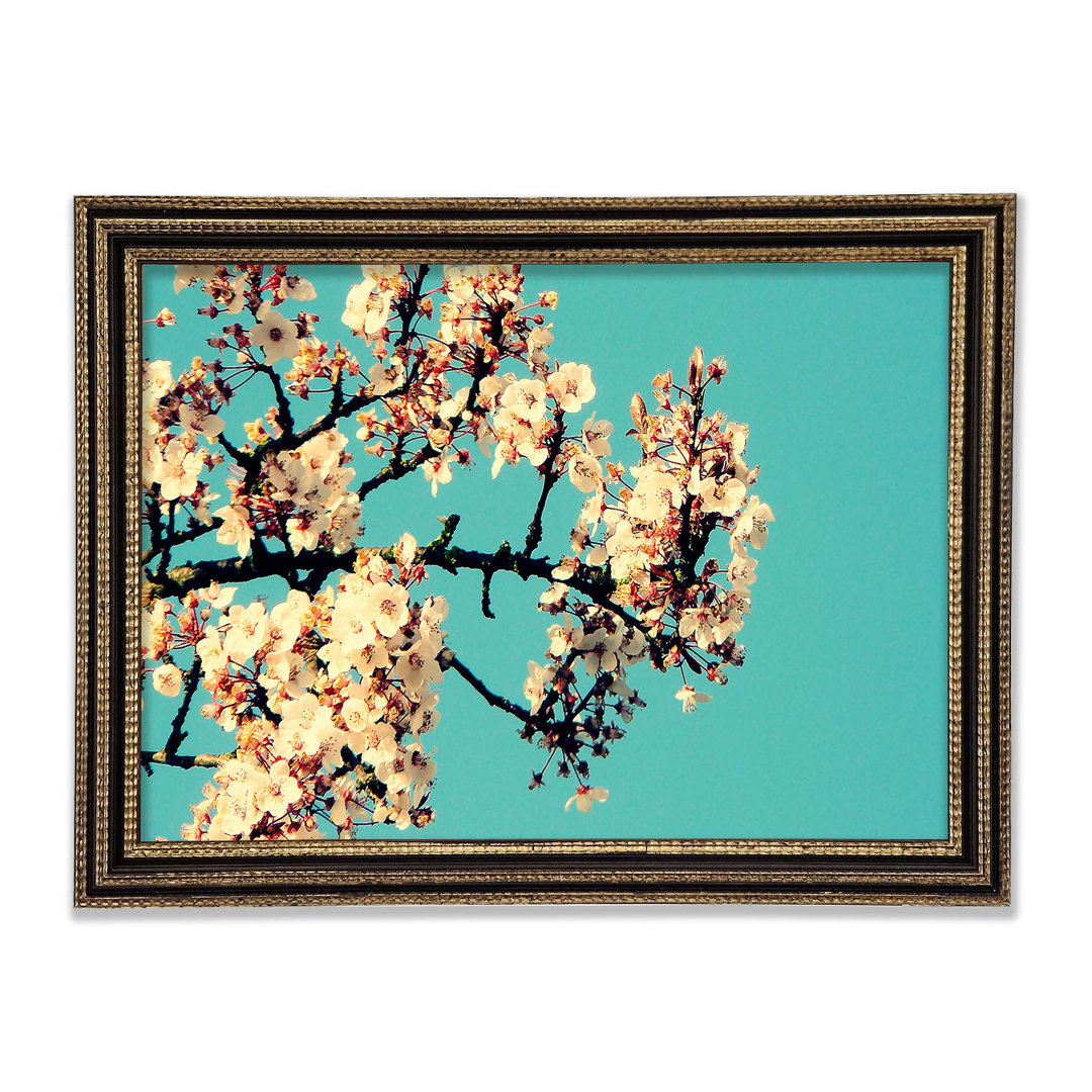 Blossom Tree Against A Blue Sky Gerahmter Druck