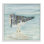 «Sandpiper on Shallow Shore», estampe numérique par Julie DeRice