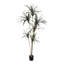Arbre artificiel de 6 pieds de hauteur Dracaena Marginata