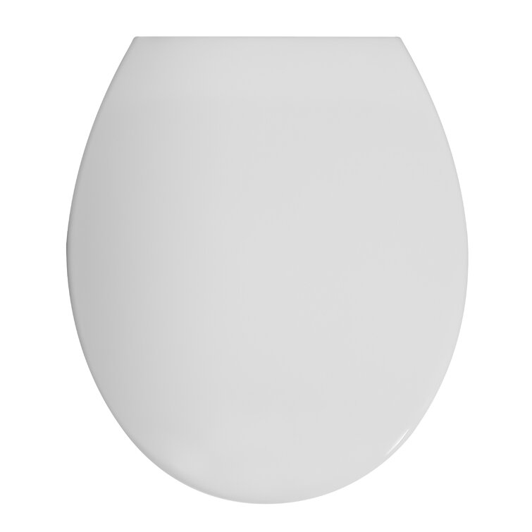 Winfield products Round Soft Close Toilet Seat and Lid - Wayfair Canada