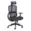Hardie Office Chair with Headrest