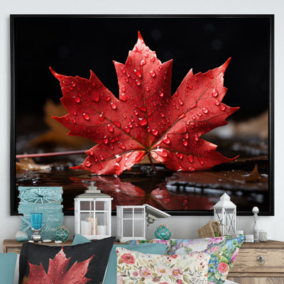 Canada Canada Pride III