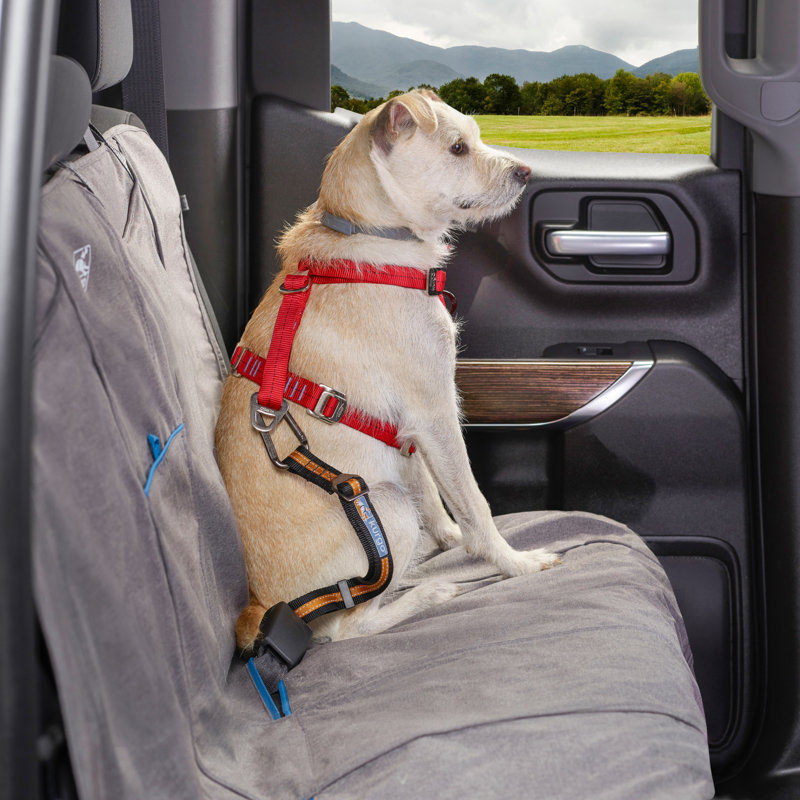 Direct to Seatbelt Tether, Orange