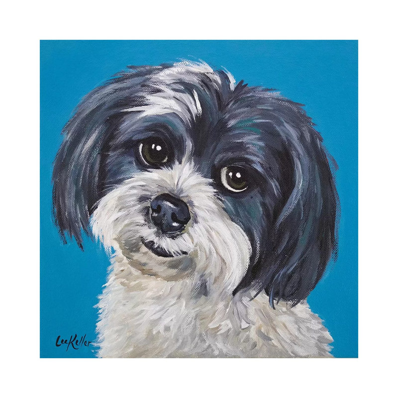 Maltese Shihtzu Mix - Wrapped Canvas Painting, 30.48 cm H x 30.48 cm W