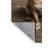 Washable Neapolitan Mastiff Dogs Area Rug-2097715799