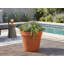 Pot standard Deroma - Grand pot en terre cuite graphite - Intérieur/Extérieur-821579601