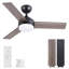 Ventilateur de plafond intelligent noir de 42 po avec DEL blanche brillante intégrée, travail avec l'application Tuya et aide vocale