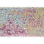 Hand Knotted Abstract Area Rug in Beige/Lilac-1449239277