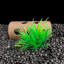 Plantes décorations d'aquarium 20 pièces