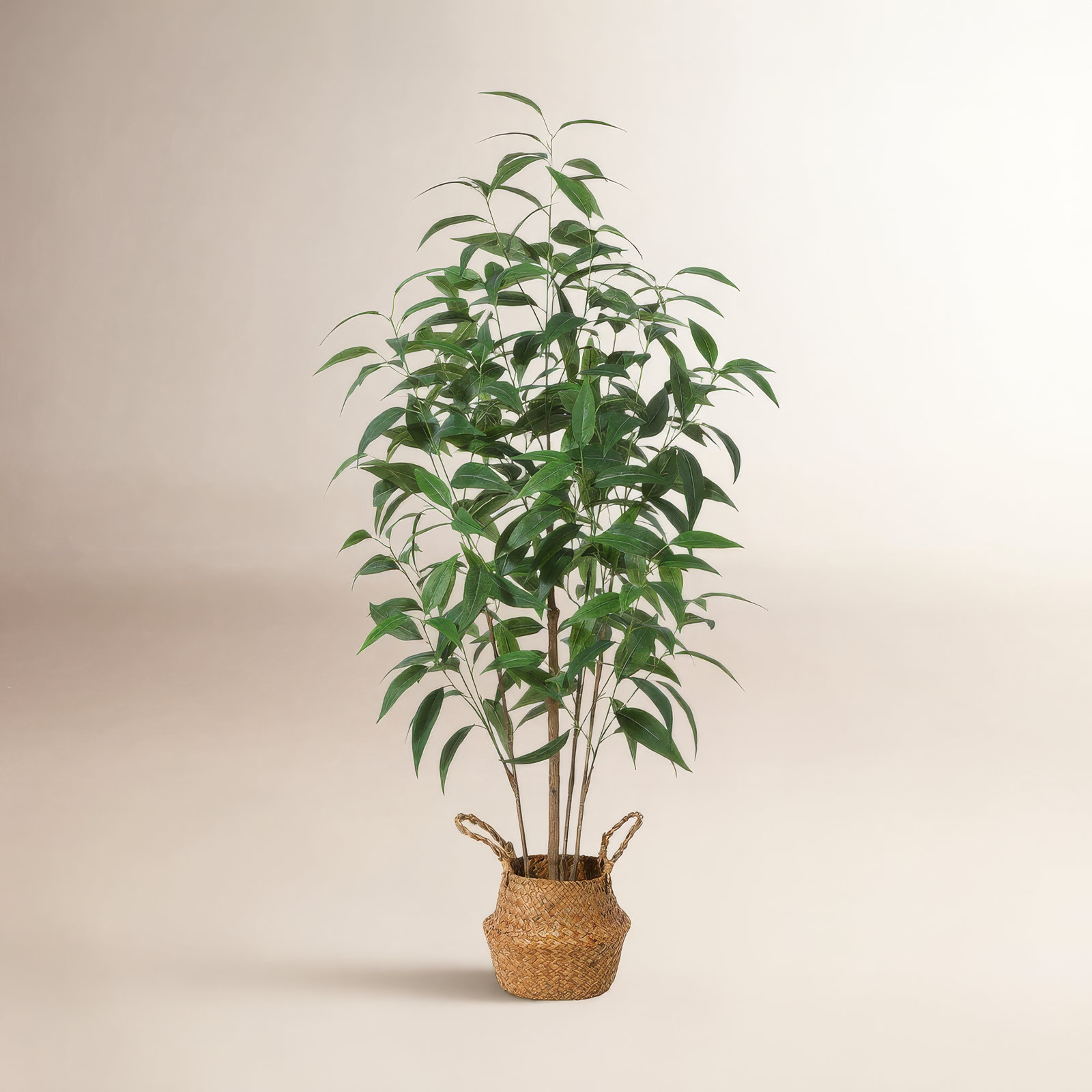Adcock Artificial Eucalyptus Tree in Basket, 47" H x 16" W x 16" D, 1