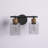 Juana 2-Light Dimmable Steel Vanity Light with Glass Shades 