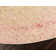Glasser Abstract Indoor Rug