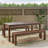 Outdoor Table And Two Benches