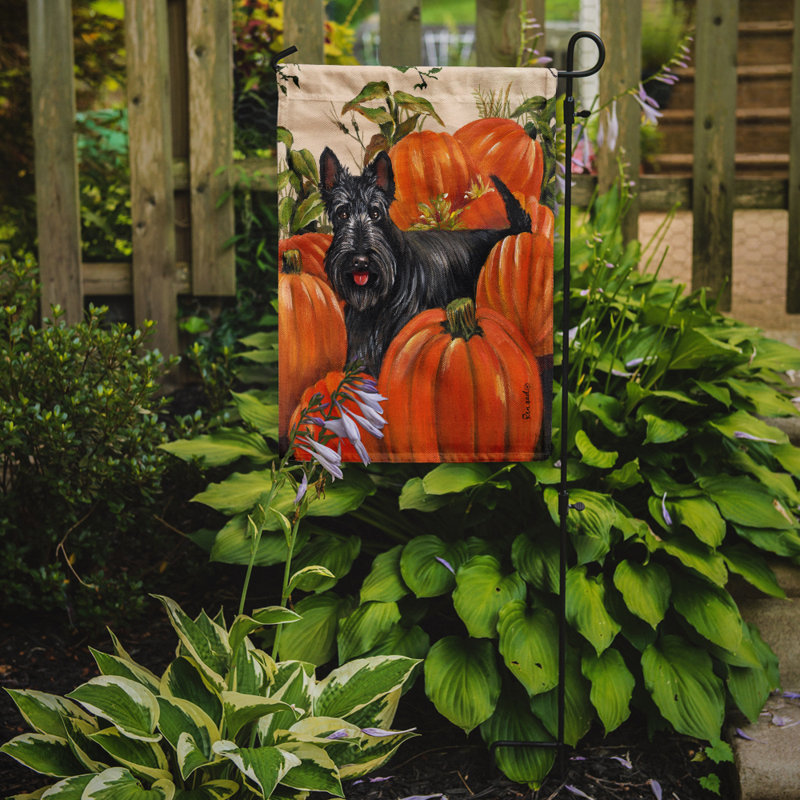 Drapeau de jardin en polyester à 2 côtés Graziello Bichon Frise Do It Better 1 x 0,11 pi, Terrier écossais citrouilles