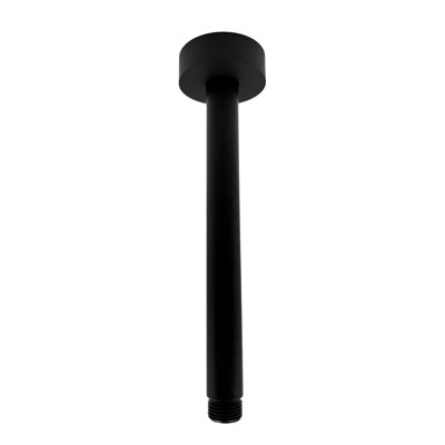 Shower Arm With Matching Flange Included,stainless Steel