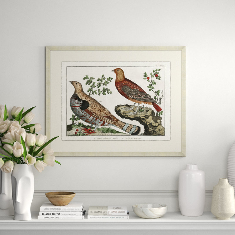 Martinet's Pheasants 2 Print