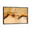 The Creation Of Adam, C.1510 by Michelangelo - Floater Frame Painting on Canvas-186537524-186537525
