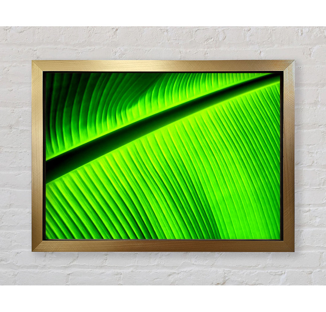 Light Of The Green Leaf - Einzelner Bilderrahmen Kunstdrucke