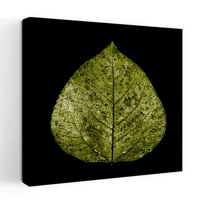 Feuille verte, art abstrait contemporain de la nature, H 48 po x l 48 po
