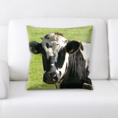 Coussin de vache