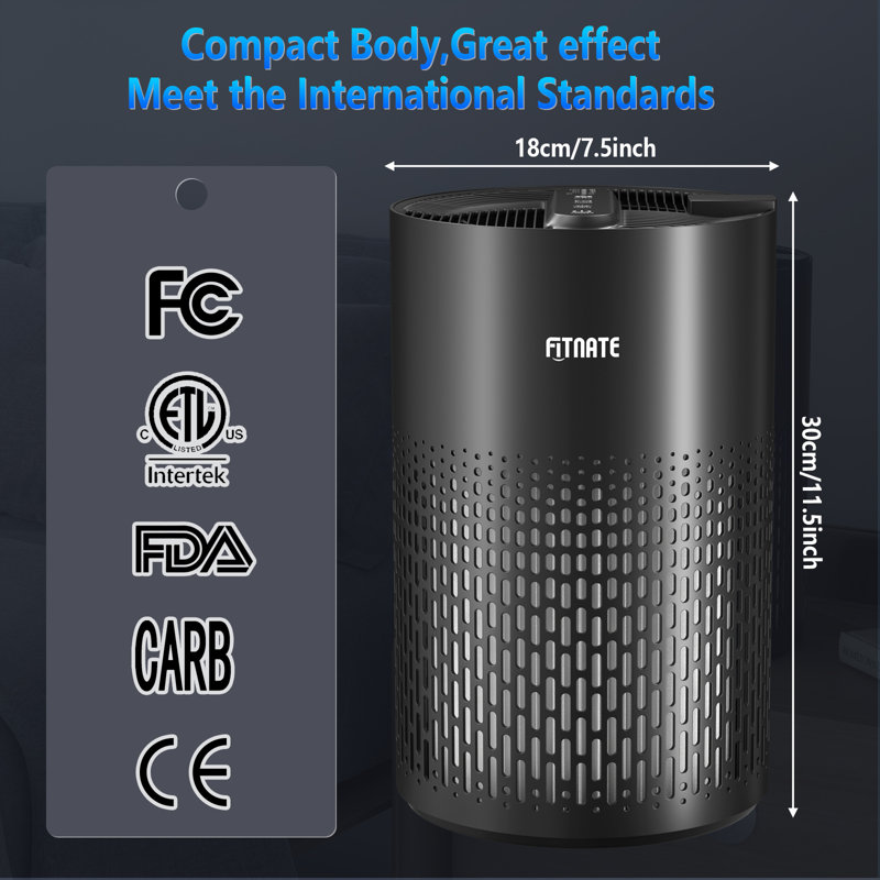 Purificateur d'air Fitnate avec filtre HEPA, Noir, noir, noir, noir