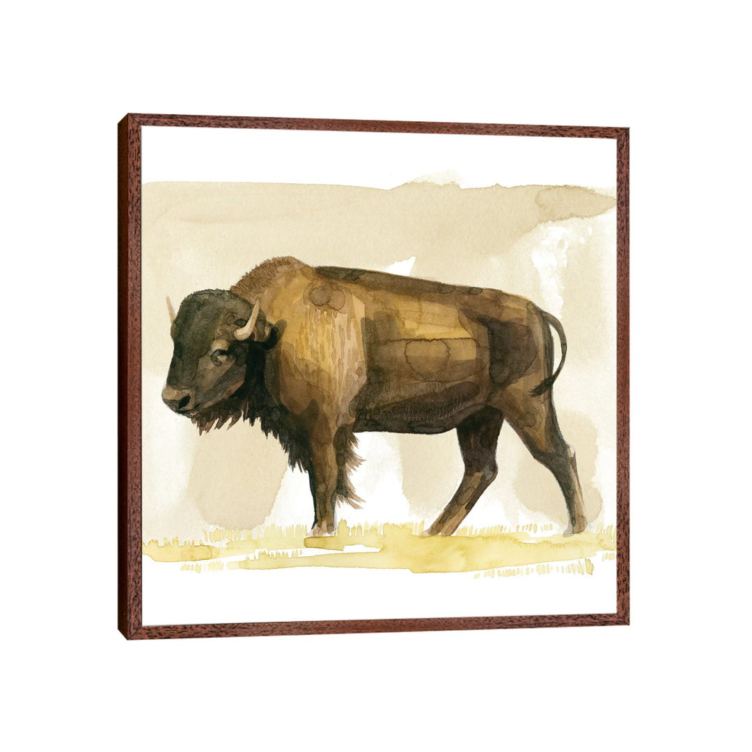 Bison Aquarell Skizze II