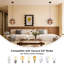 Vintage Industrial Pendant Ceiling Light Fitting E27 Globe Chandelier-1332787563