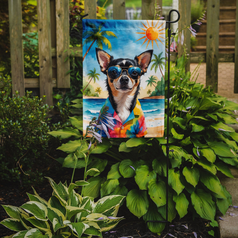Bouvier bernois avec drapeau de jardin, Chihuahua noir et brun clair