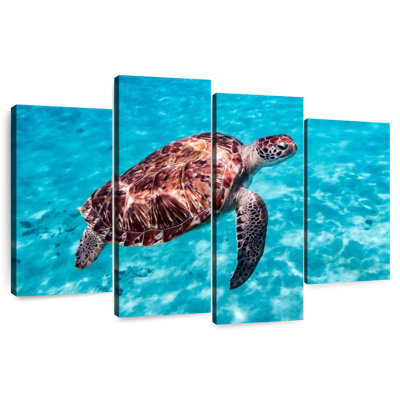Red Turtle