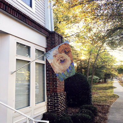 Drapeau de maison Hvidovre Sheltie Halloween en polyester à 2 faces 3 x 2 pi