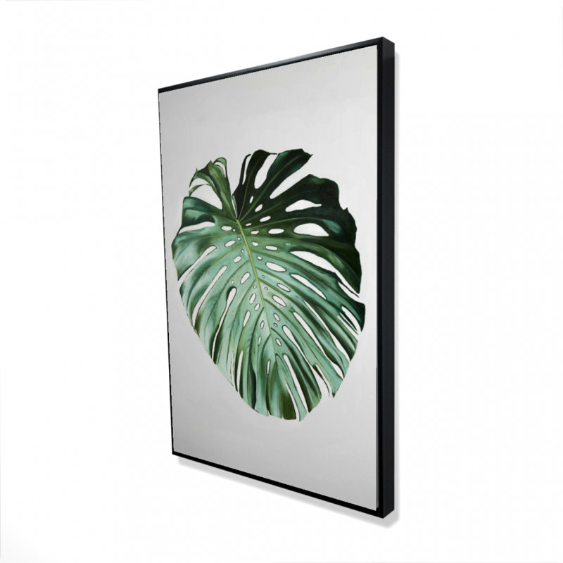 " Monstera Leaf "