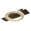 Danaysia LED Flush Mount