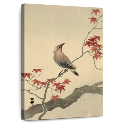 Brampt Japanese Waxwing On Maple