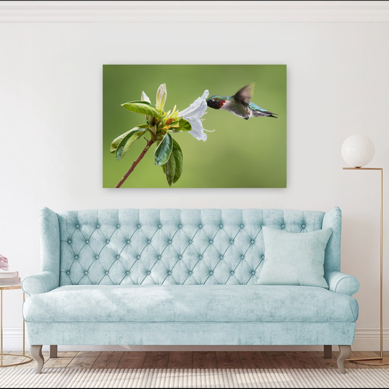 Ruby Throated Hummingbird Delicate Vibrant Abstract Hummingbird Bird Fly Flower Nature Wall Art Print by Atul Saluja - Print
