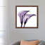 Calla Lilies II 1 Piece Wall Art on Canvas-1002608907-1013585188