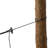 Hammock Tree Strap