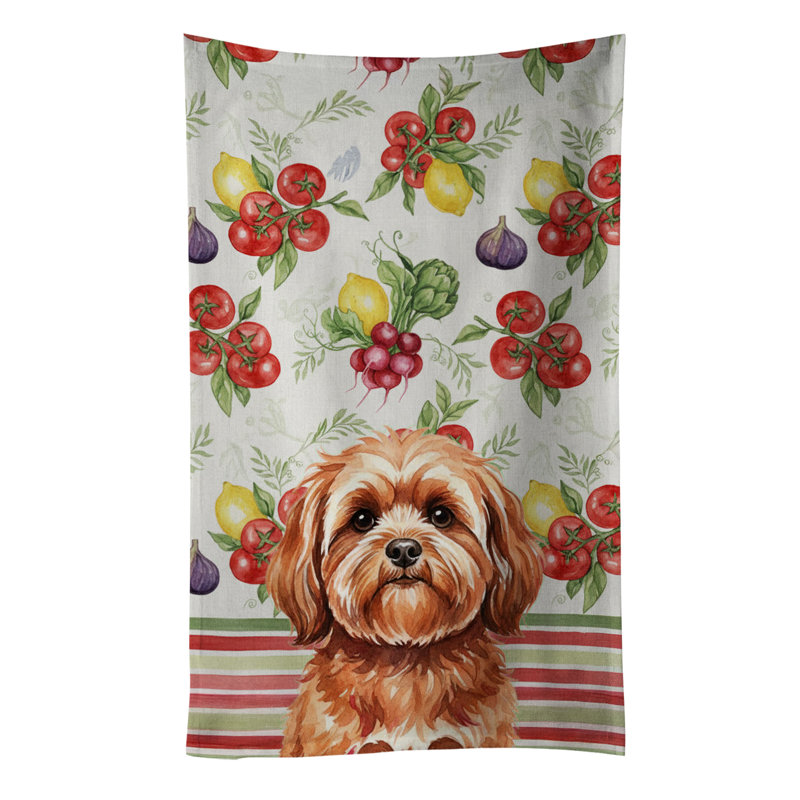 Torchon rouge Lhasa Apso, Red Lhasa Apso