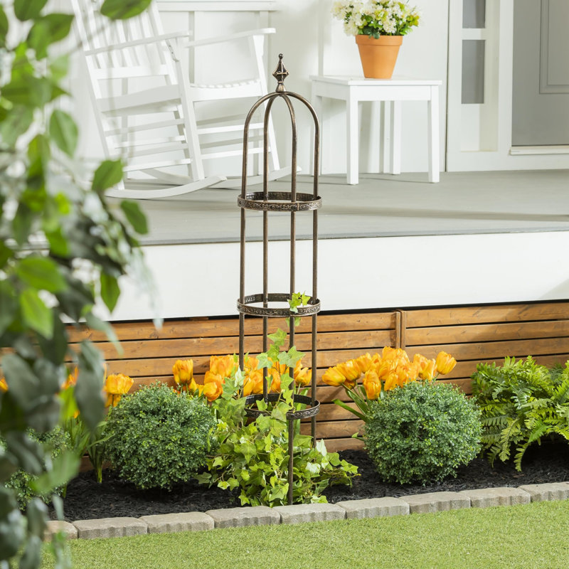 Treillis de jardin de 5 pi pour plantes grimpantes, jasmin et fleurs, Bronze