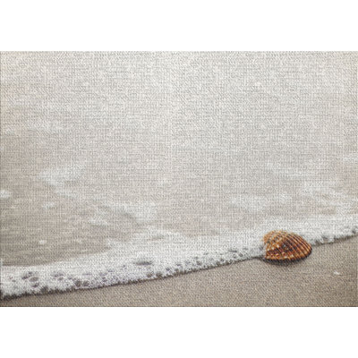 Indoor Rug