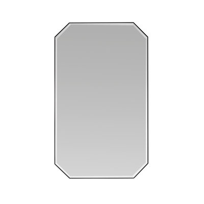 Gerelene Stainless Steel Octagon Wall Mirror