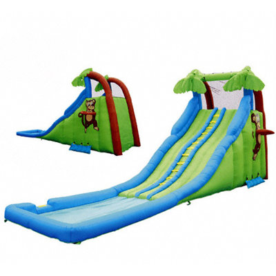 Tropical Wave Water Slide