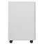 VidaXL Classeur rectangulaire en acier-874040458