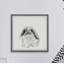 McLoud Plump Bunny Framed Print-567706393