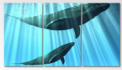 3 Piece Wrapped Canvas Print